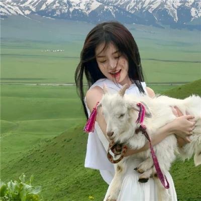 夏绿蒂的网2 韦柏历险记