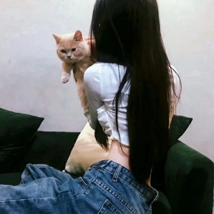 阳阳