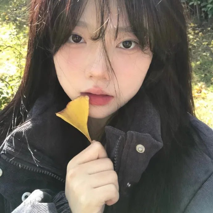 一落千丈:波音大调查